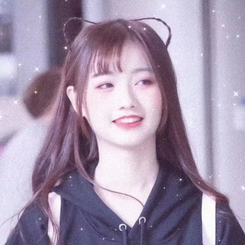 昙花缘未了